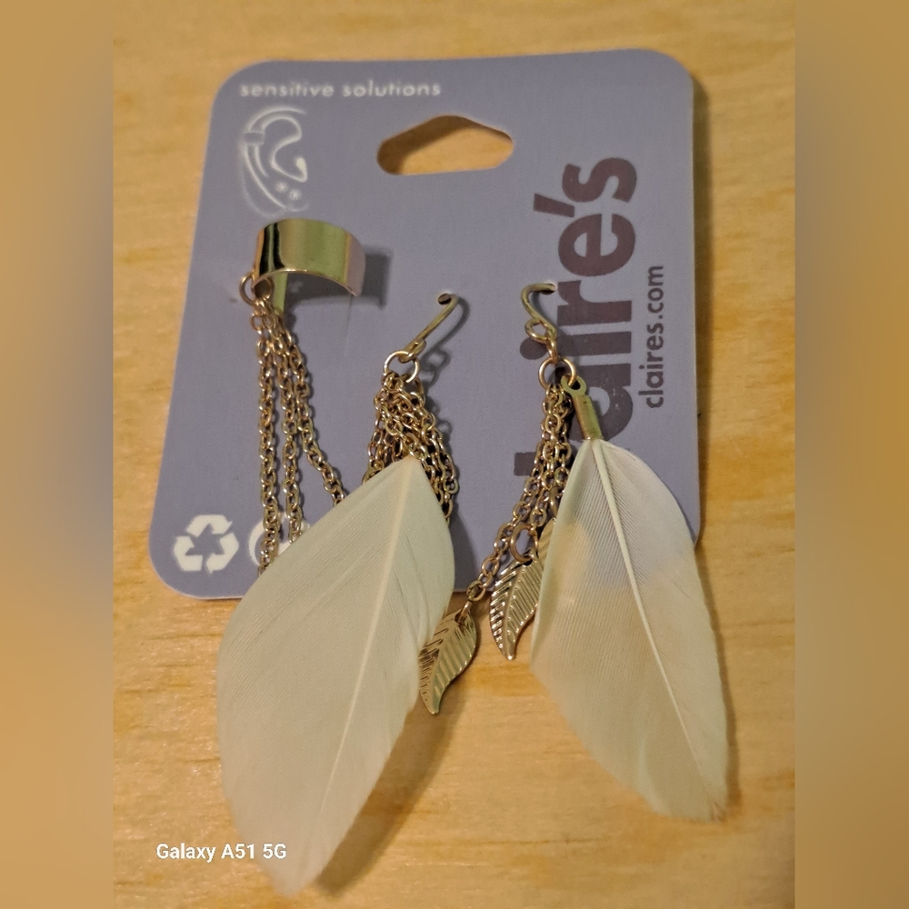 Earrings